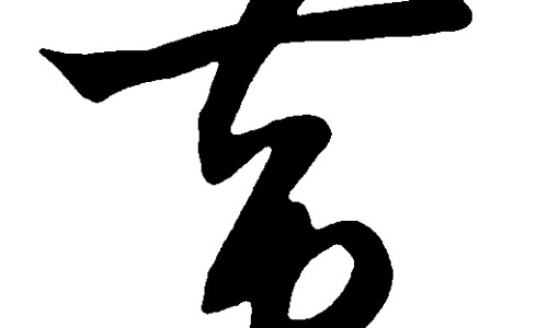 药用虎泊网 :分享虎珀宁是什么药-中药虎珀功敌及使用方法知识